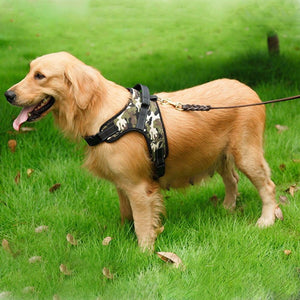 Dog Harness