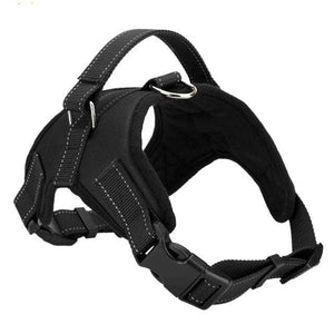 Dog Harness