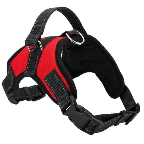 Dog Harness