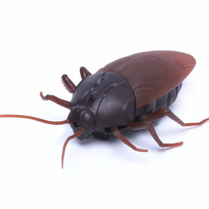 Remote Control Giant Cockroach