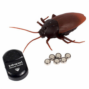 Remote Control Giant Cockroach